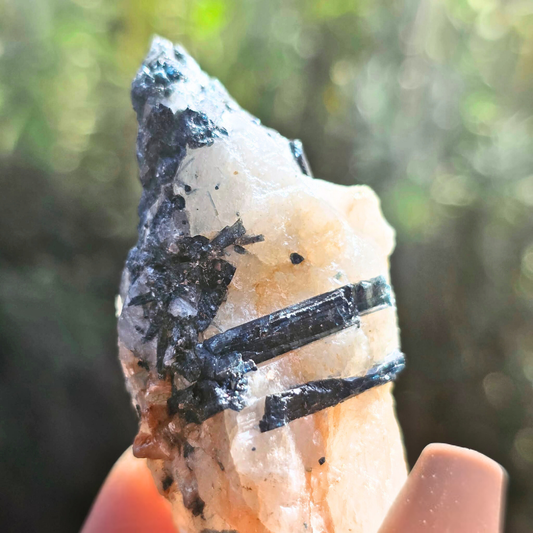 Blue Tourmaline (Indicolite) with Mica & Quartz Crystal Cluster