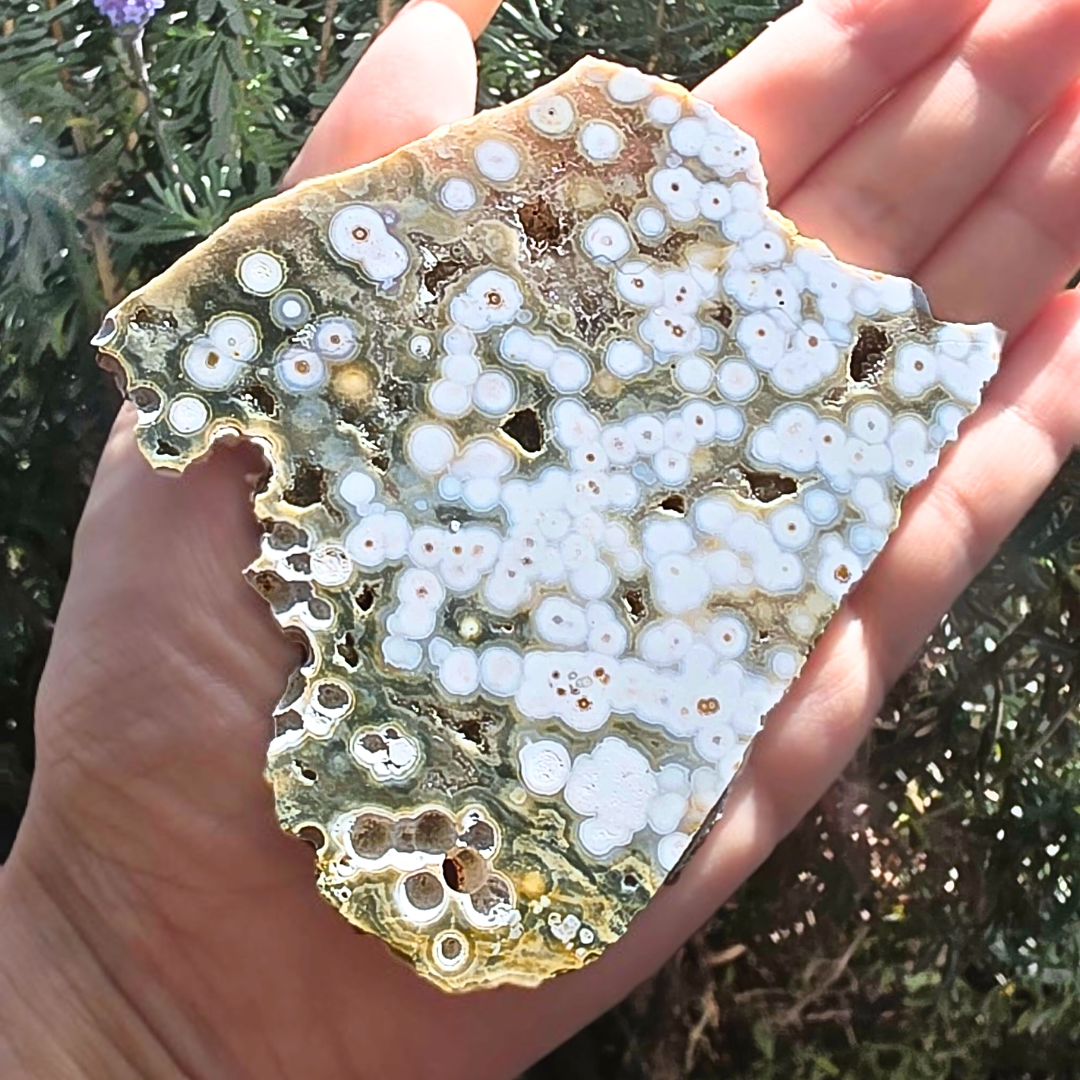 Druzy Orbicular Ocean Jasper Slab with Holder