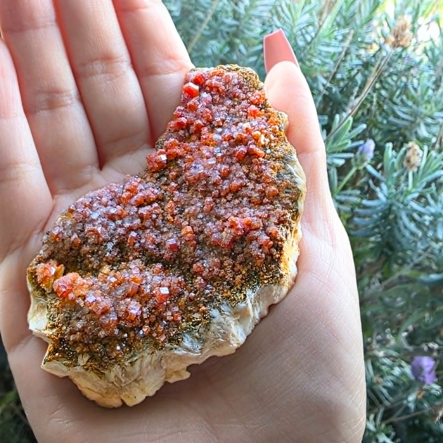 Large Vanadinite Crystal Mineral Specimen - 8.4cm - includes stand
