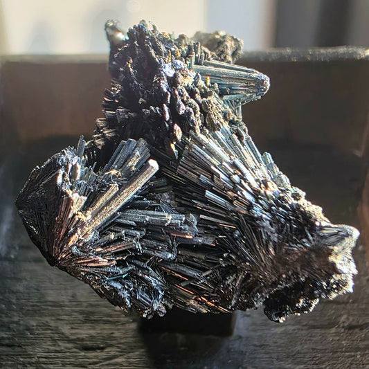 Collector Stibnite Crystal Spray Specimen - Romania