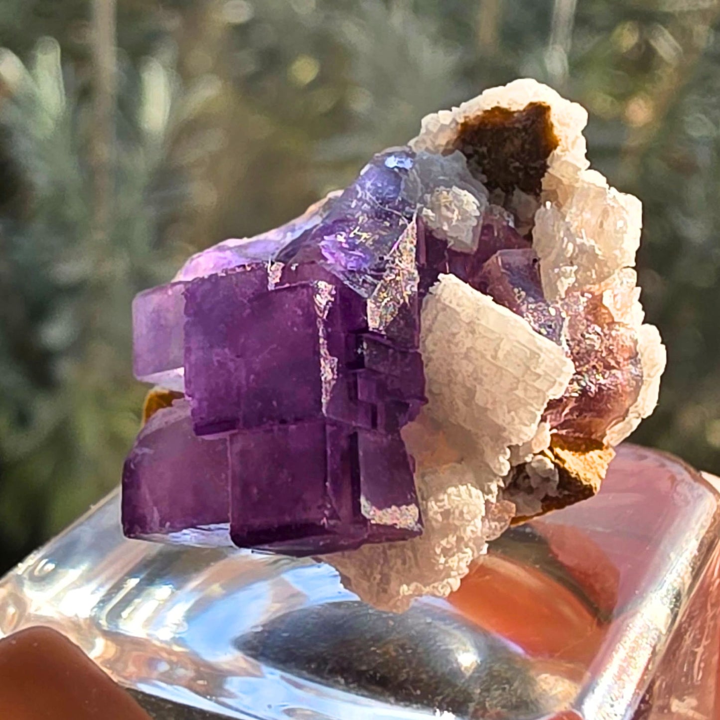 Stepped Cubic Fluorite with Calcite Crystal Specimen – Xinjiang, China