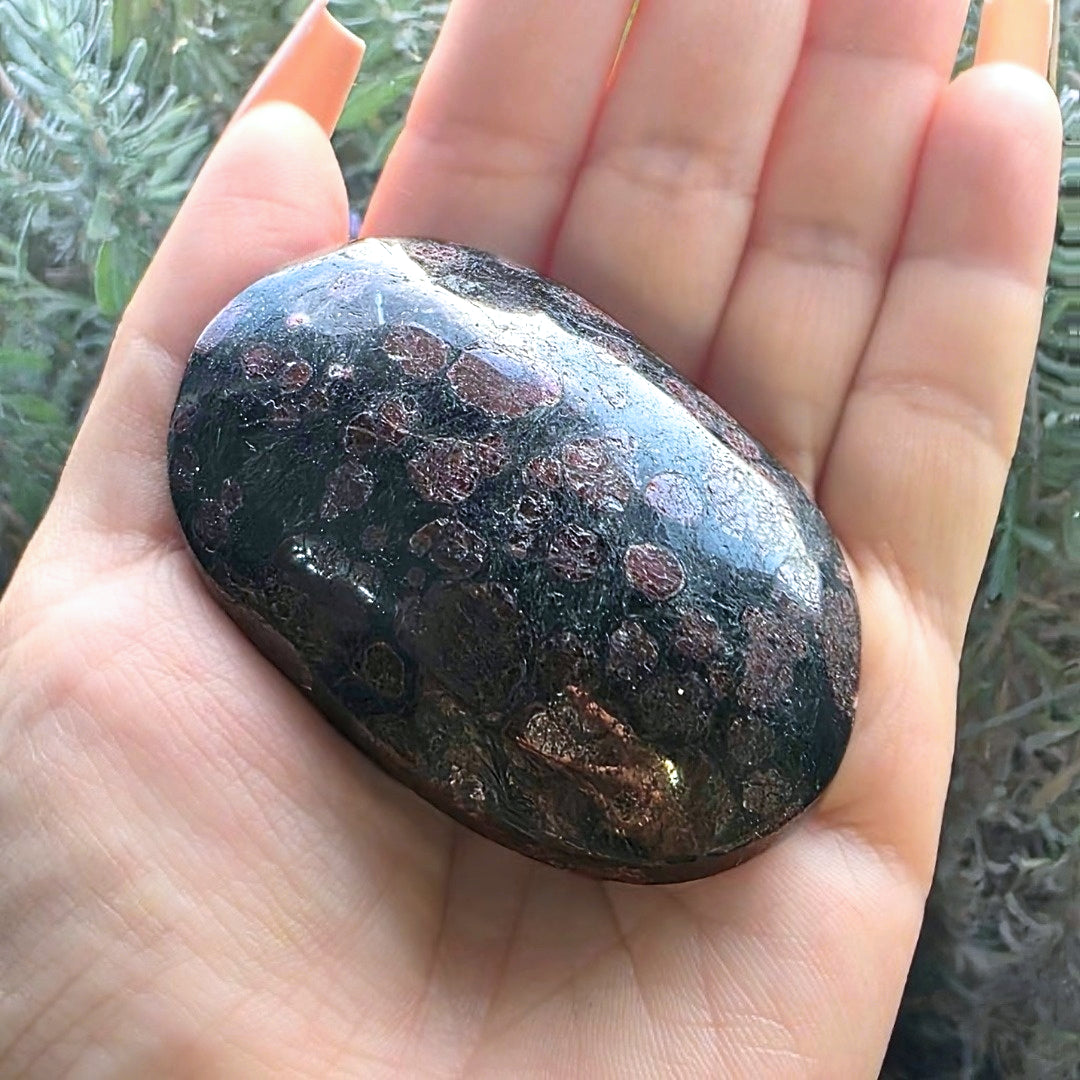 Large Garnet in Arfvedsonite Crystal Palm Stone