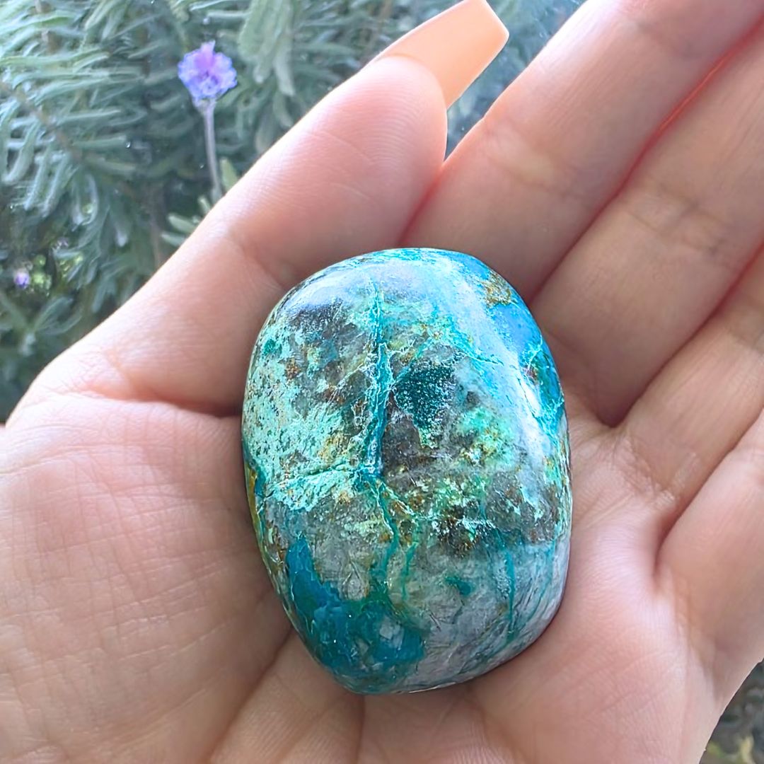 Quantum Quattro (Chrysocolla, Dioptase, Malachite & Shattuckite in Smoky Quartz) Palm Stone