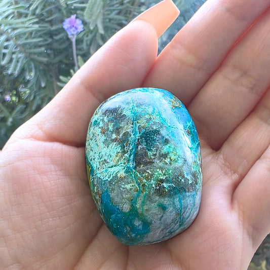Quantum Quattro (Chrysocolla, Dioptase, Malachite & Shattuckite in Smoky Quartz) Palm Stone