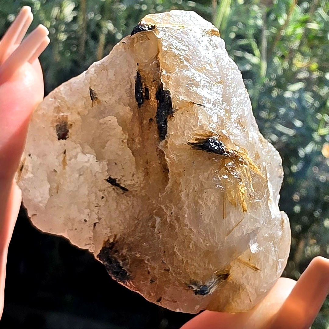 Golden Rutilated Quartz with Black Tourmaline Raw
