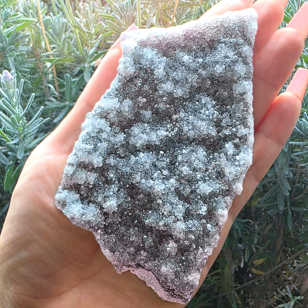 Rainbow Amethyst Crystal Tabular Cluster - 11cm