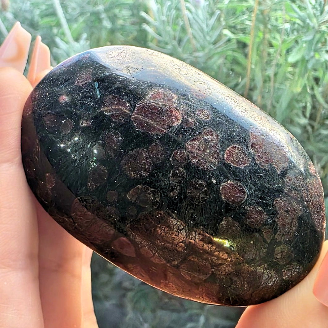 Large Garnet in Arfvedsonite Crystal Palm Stone