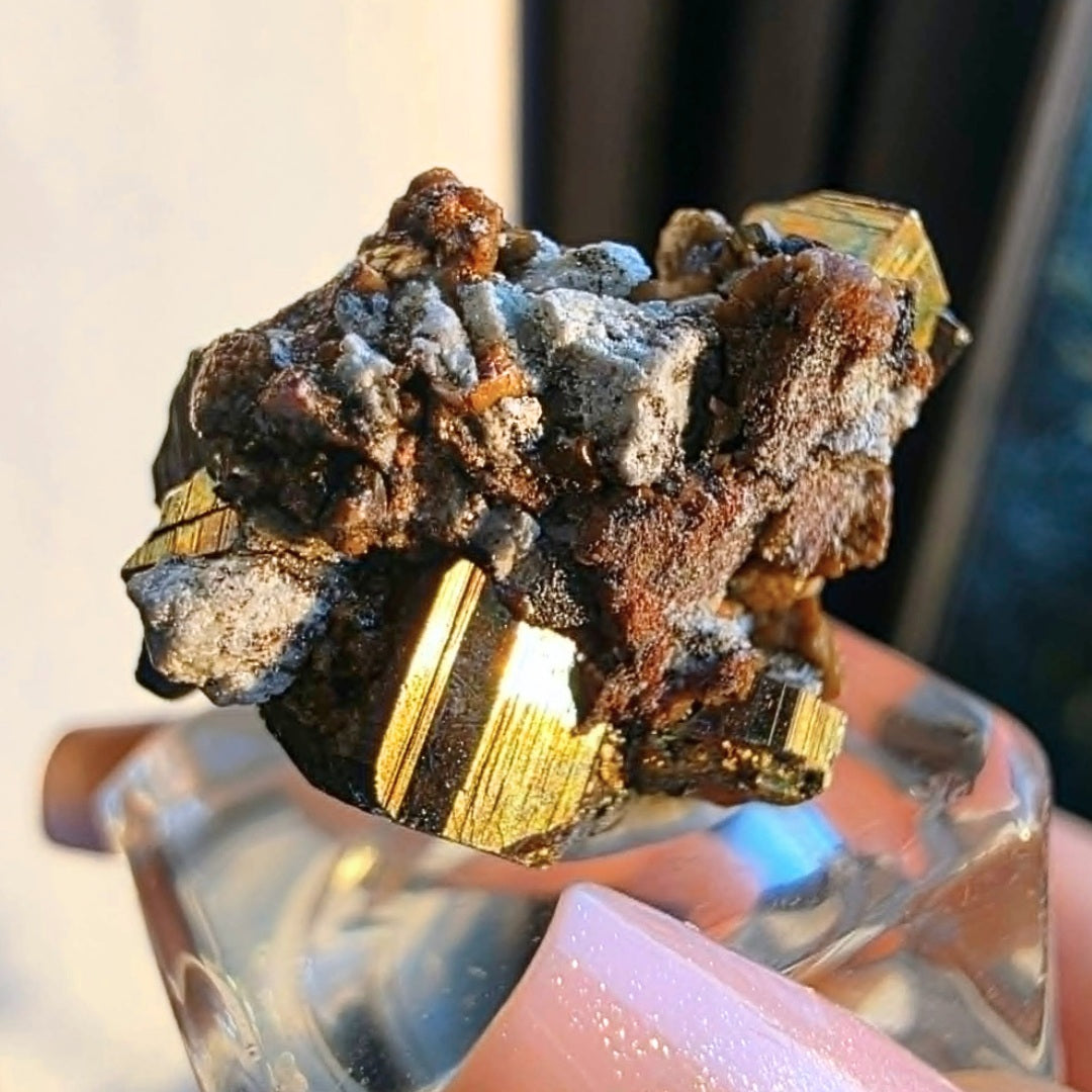 Iridescent Pyrite on Druzy Matrix Cluster - Veracruz, Mexico