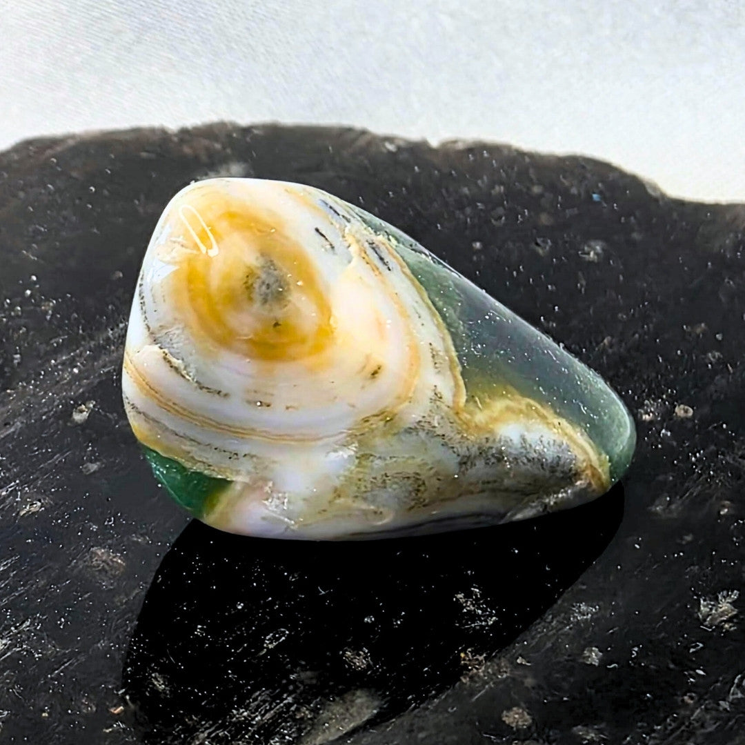 Rare 8th Vein Ocean Jasper Mini Freeform