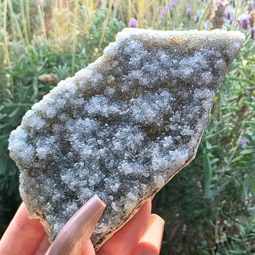 Rainbow Amethyst Crystal Tabular Cluster - 11cm