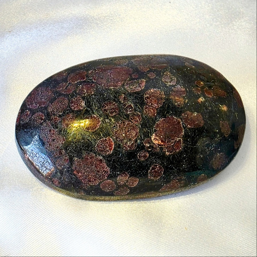Large Garnet in Arfvedsonite Crystal Palm Stone