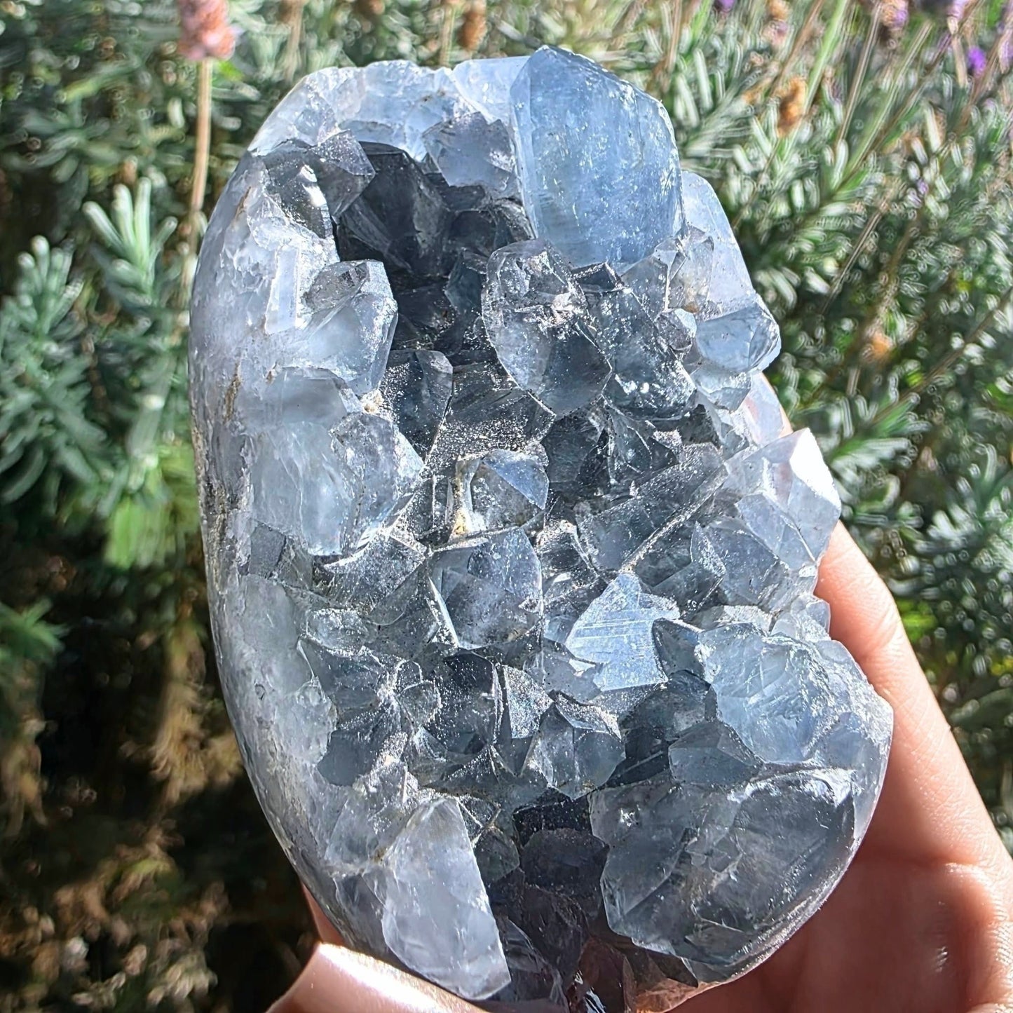celestite