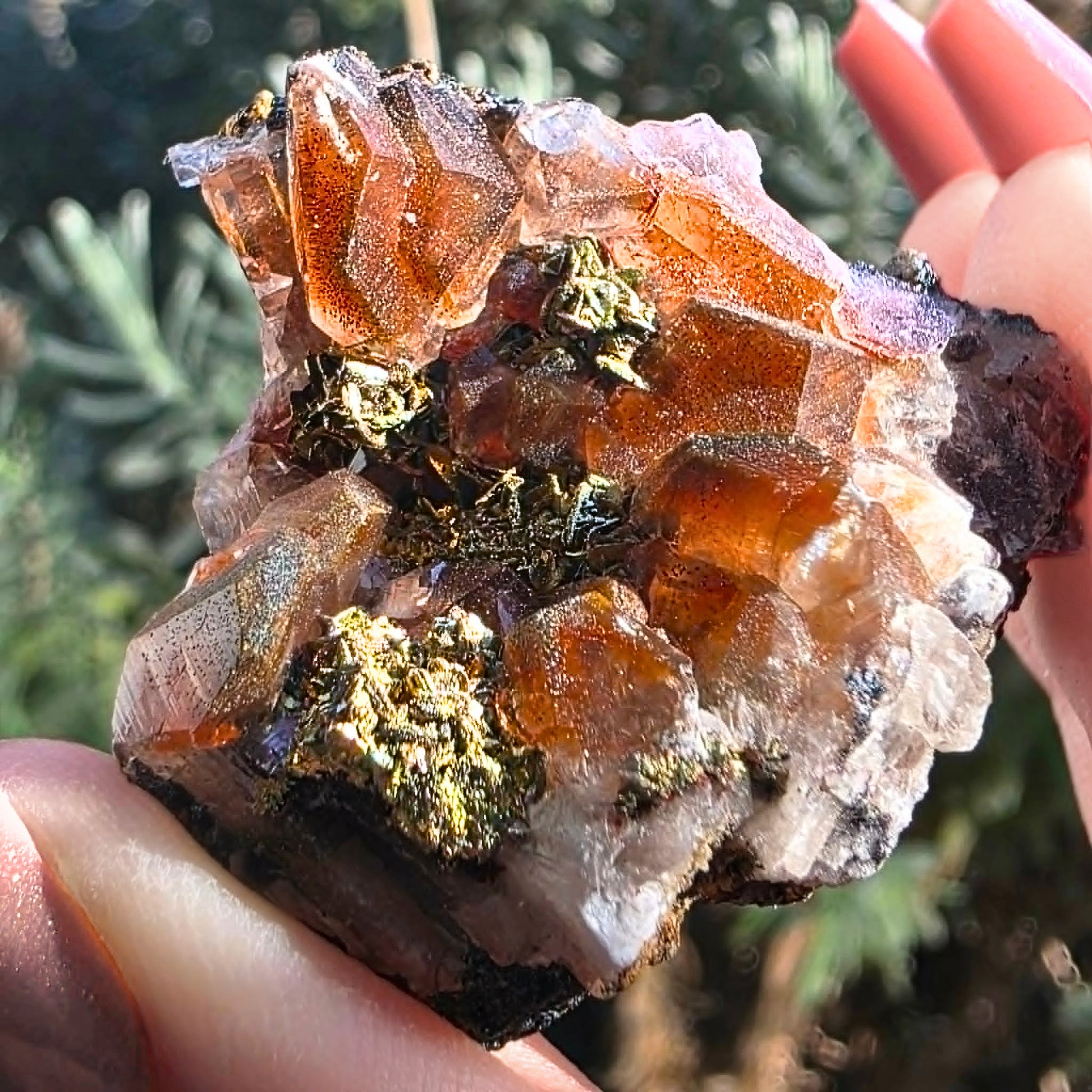 4cm Red Calcite crystal specimen with metallic gold Chalcopyrite inclusions from Dayao County, China, displayed on a dark iridescent sulfide matrix