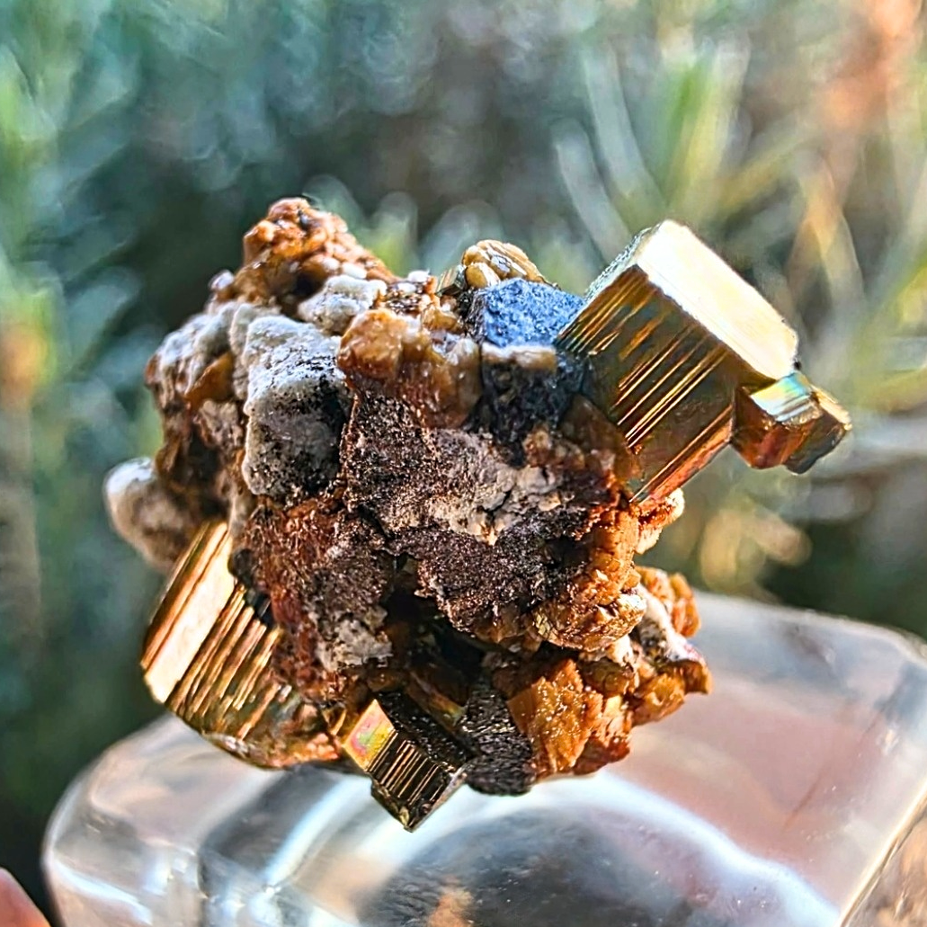 Pyrite crystal cluster from Veracruz Mexico with sharp cubic crystals on a contrasting cream and iron stained matrix