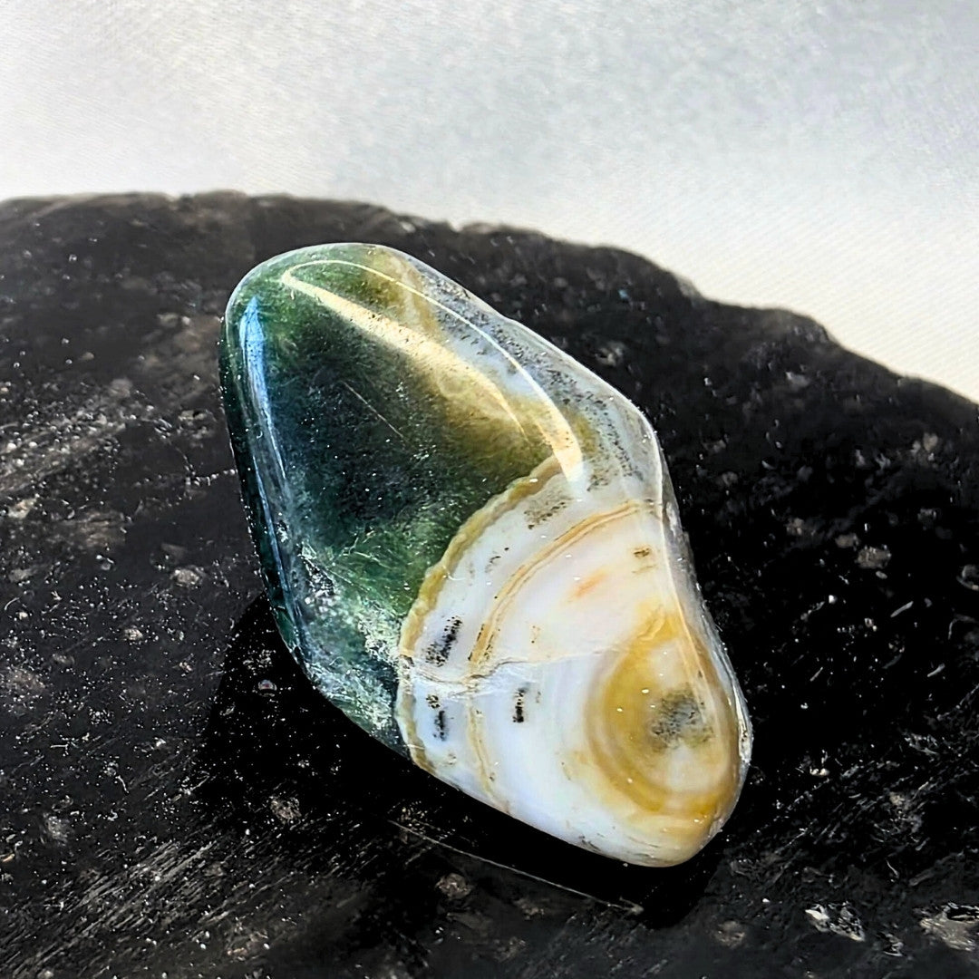 Rare 8th Vein Ocean Jasper Mini Freeform