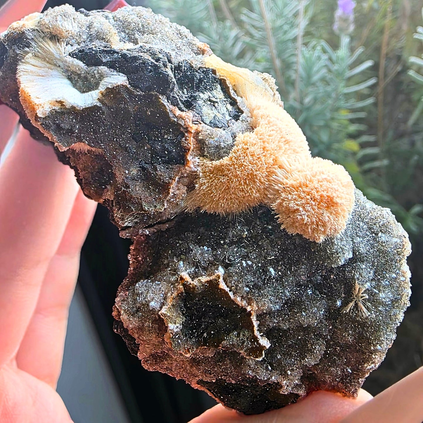 Thomsonite with Druzy Chalcedony Cluster Specimen