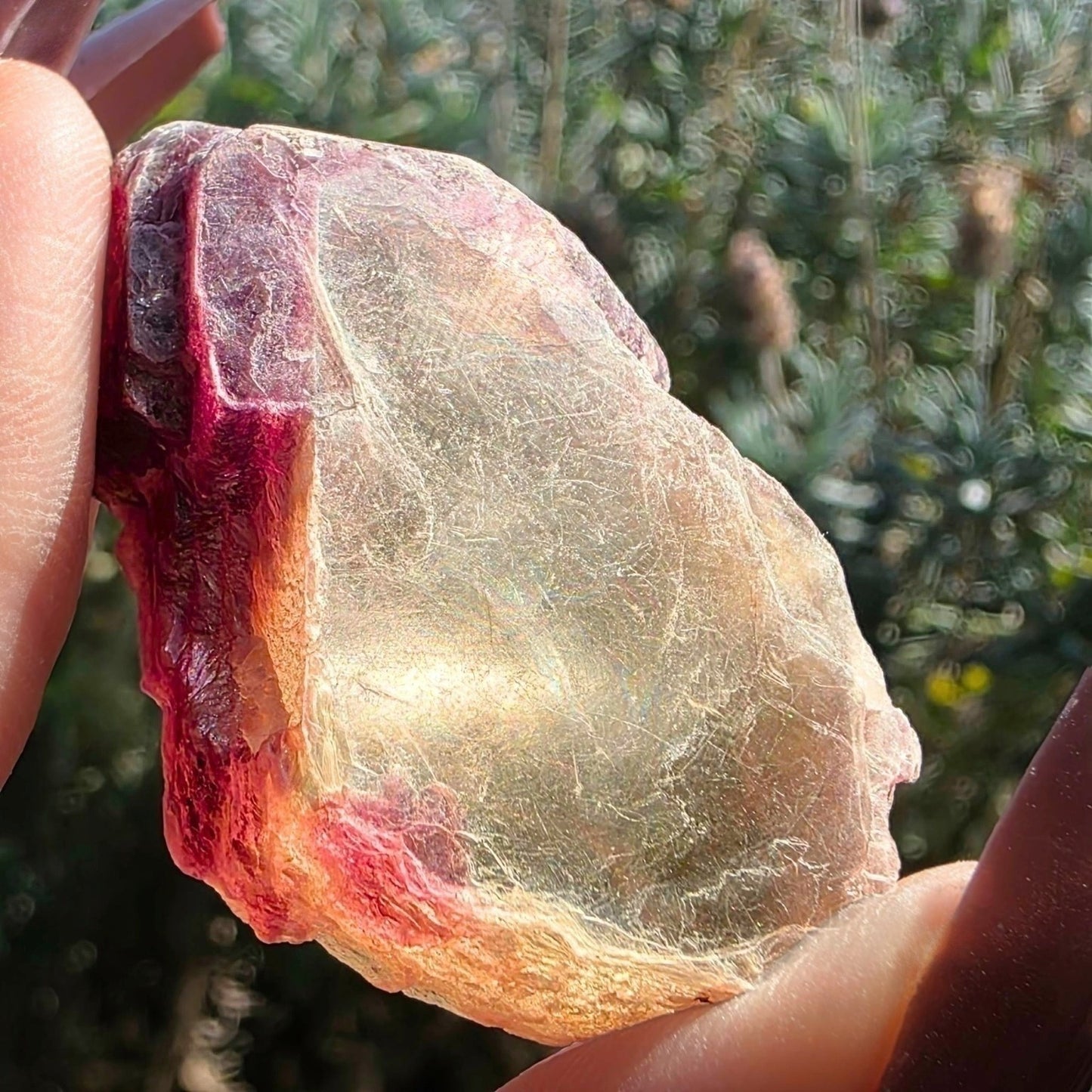 Lepidolite with Yellow Mica Raw Specimen