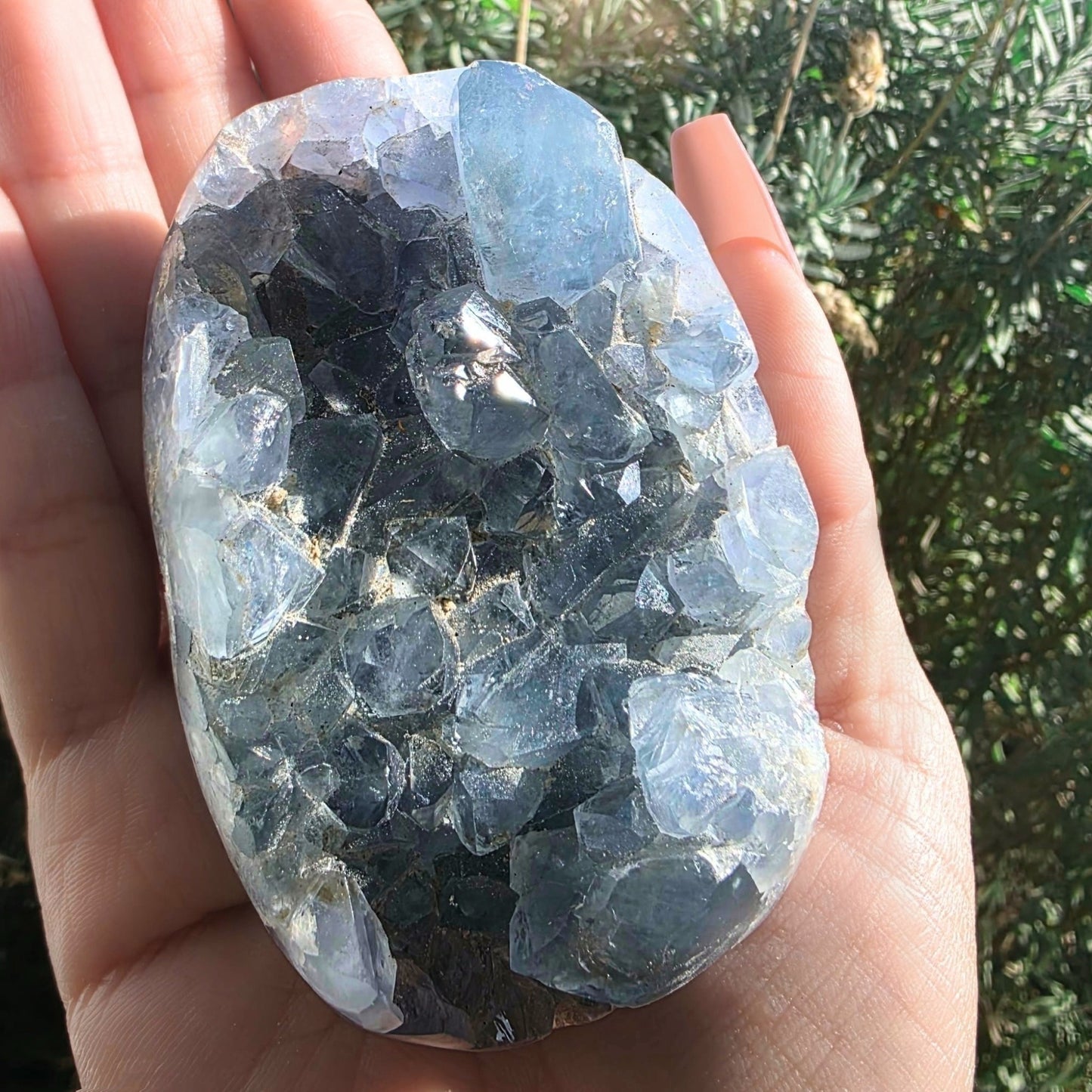 Celestite Crystal Egg Cluster - 330g