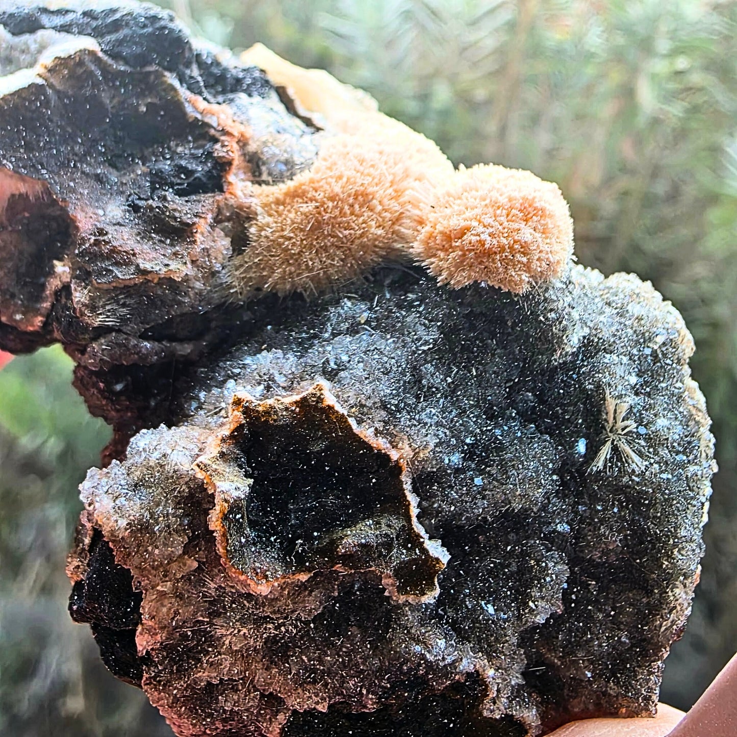 Thomsonite with Druzy Chalcedony Cluster Specimen