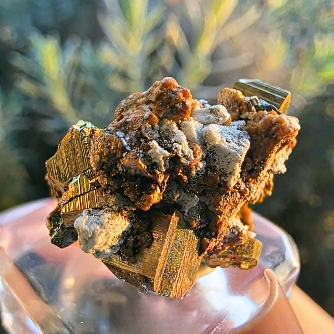 Iridescent Pyrite on Druzy Matrix Cluster - Veracruz, Mexico