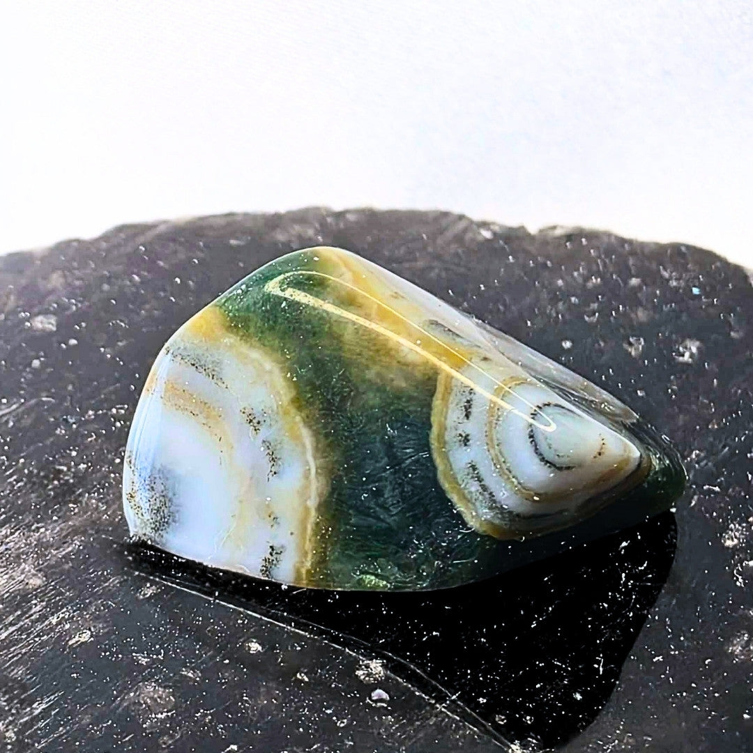 Rare 8th Vein Ocean Jasper Mini Freeform