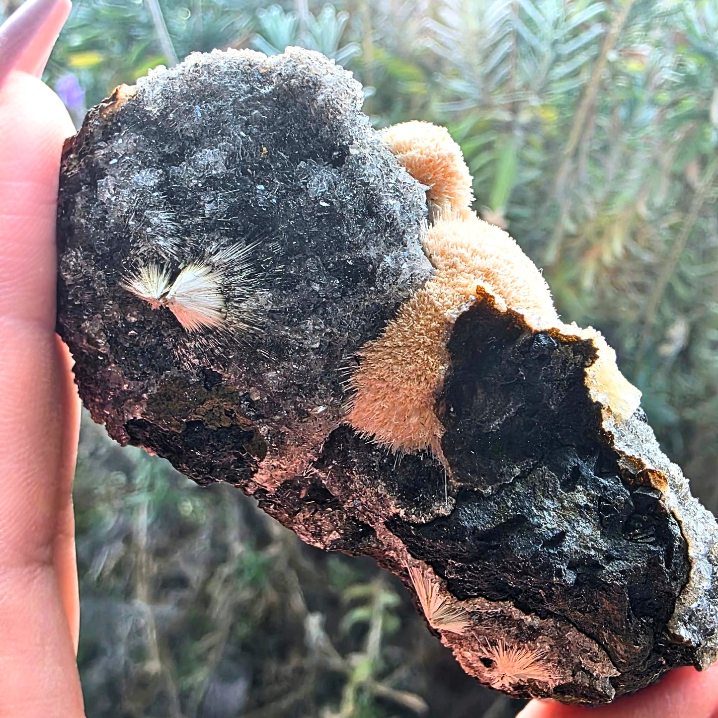 Thomsonite with Druzy Chalcedony Cluster Specimen