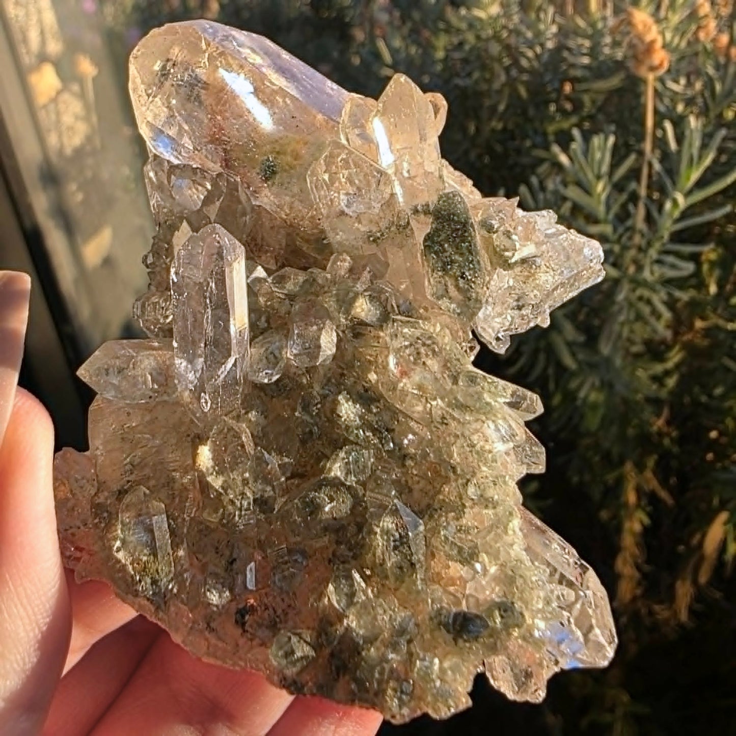 Rare Faden Garden Quartz Cluster with Chlorite & Rainbows