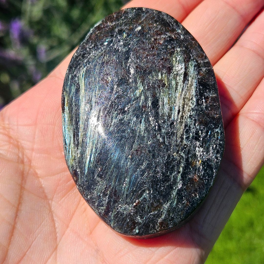 Fireworks Stone Palm Stone