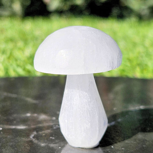 Selenite Mushroom