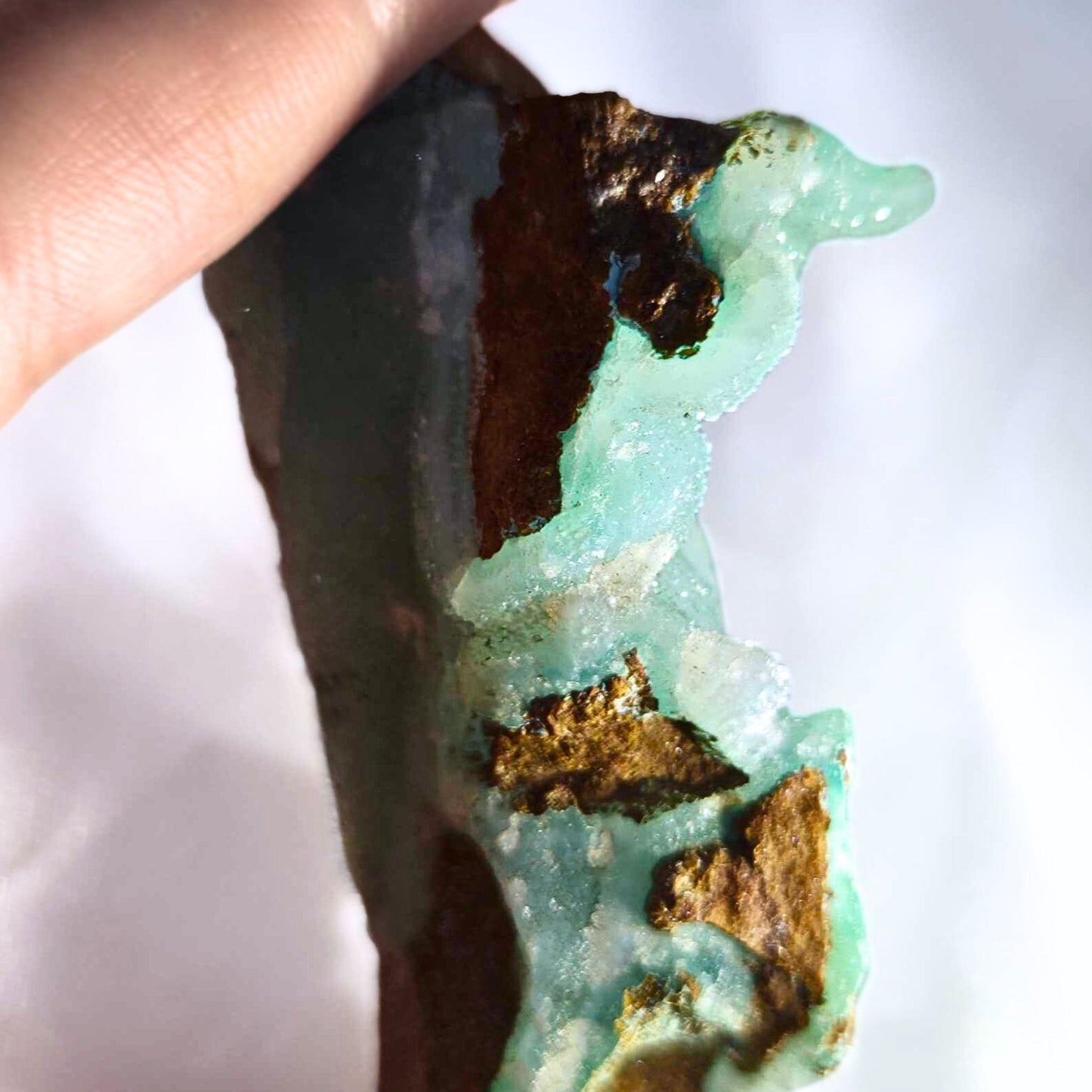 High Grade Sparkling Botryoidal Chrysocolla Specimen - DR Congo