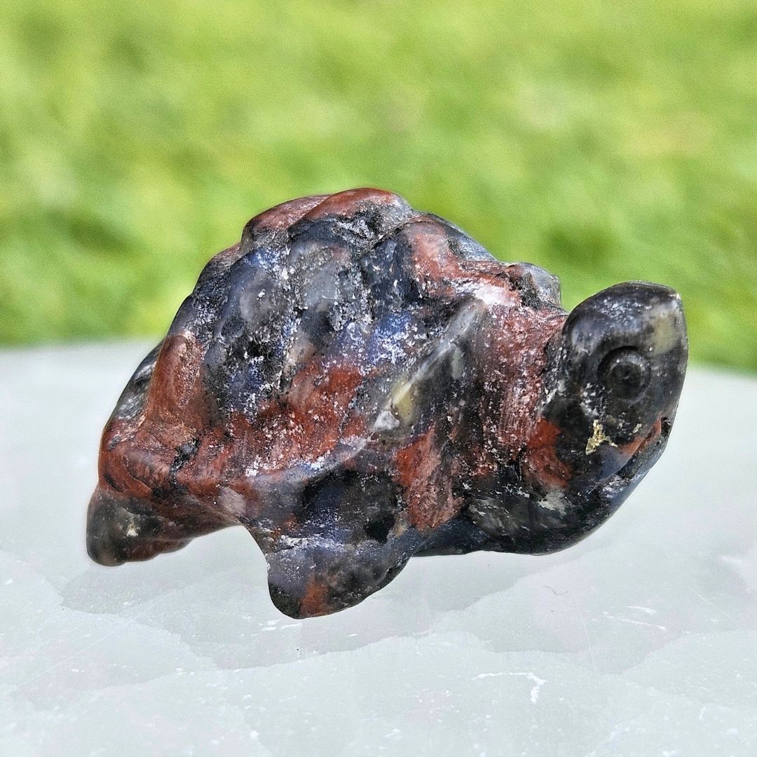 Que Sera (Rhyolite) Jasper Mini Turtle