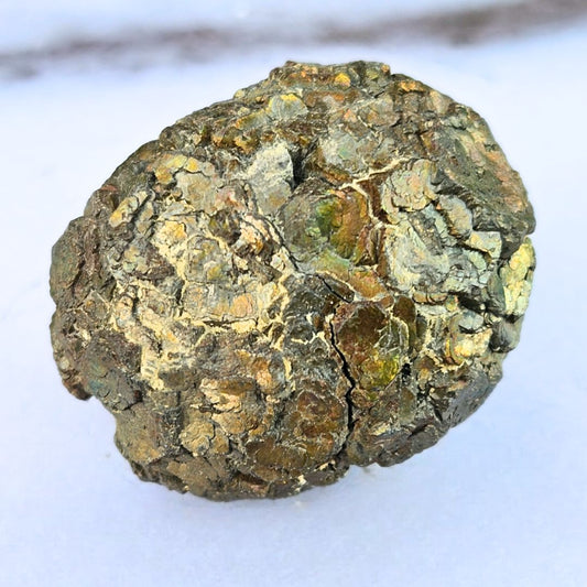 Marcasite Nodule - Pakistan