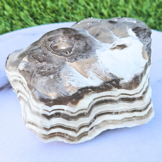 Large Zebra Calcite Raw - 631g