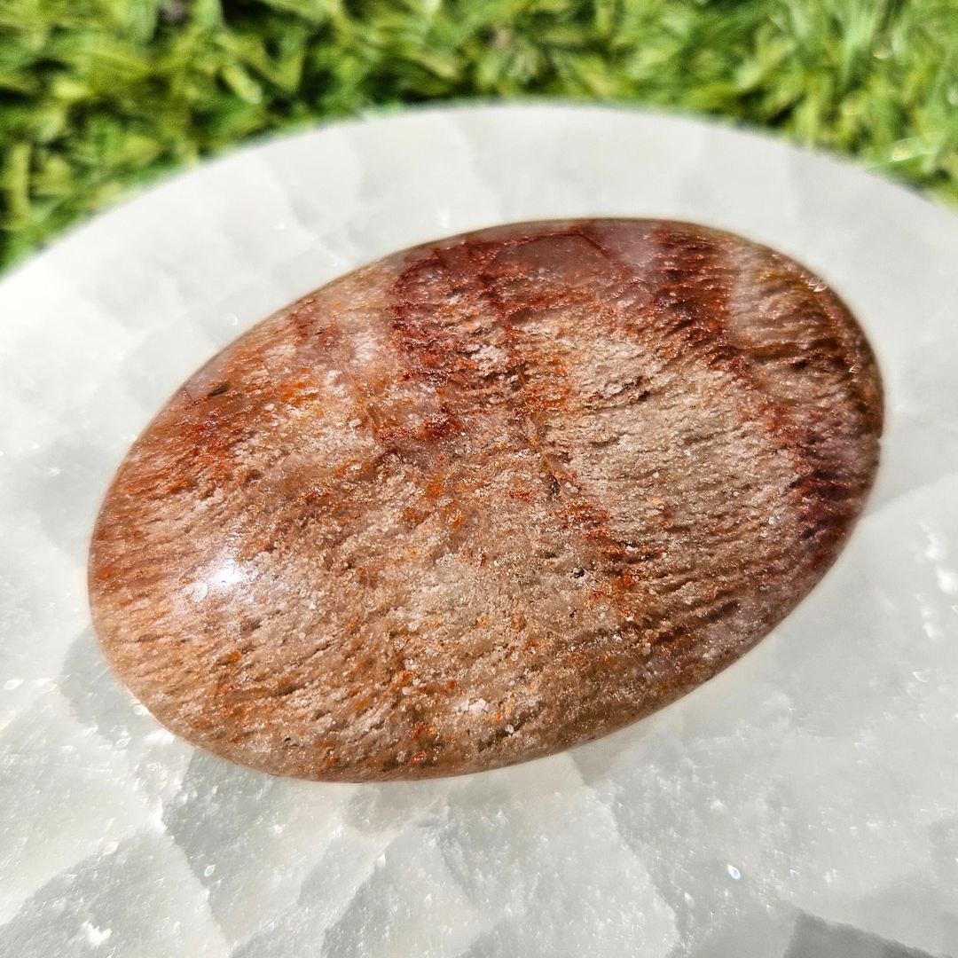 Thousand Layer (Lodolite) Palm Stone