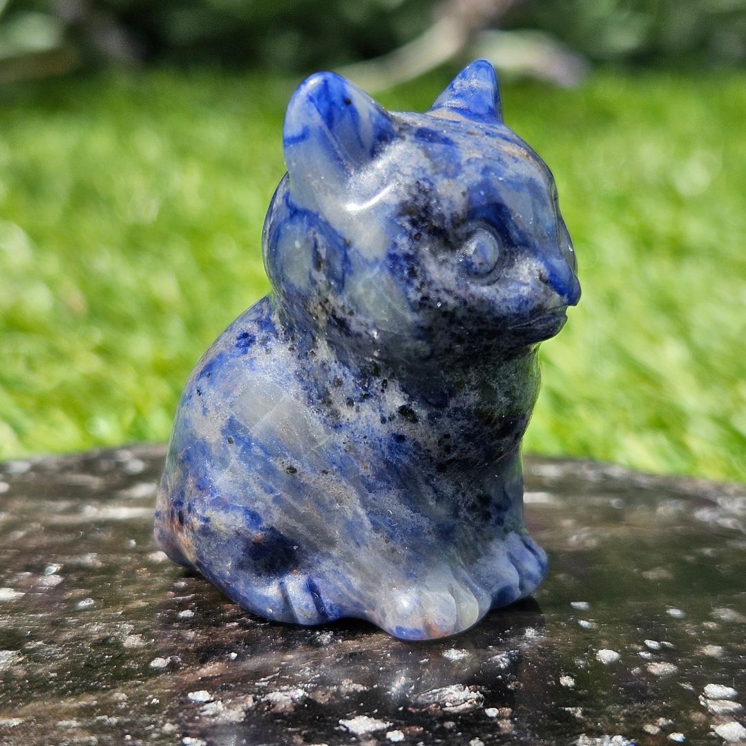 Sodalite Mini Cat Carving