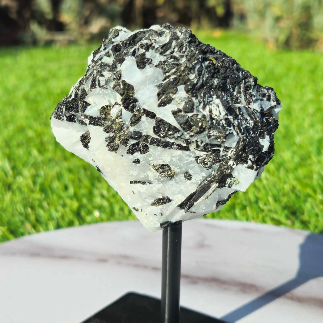 Black Tourmaline in Quartz on Metal Stand
