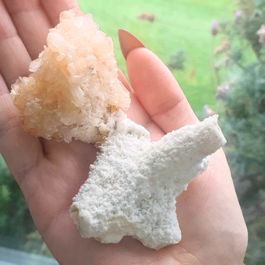 Stilbite with Fossilised Coral Cluster