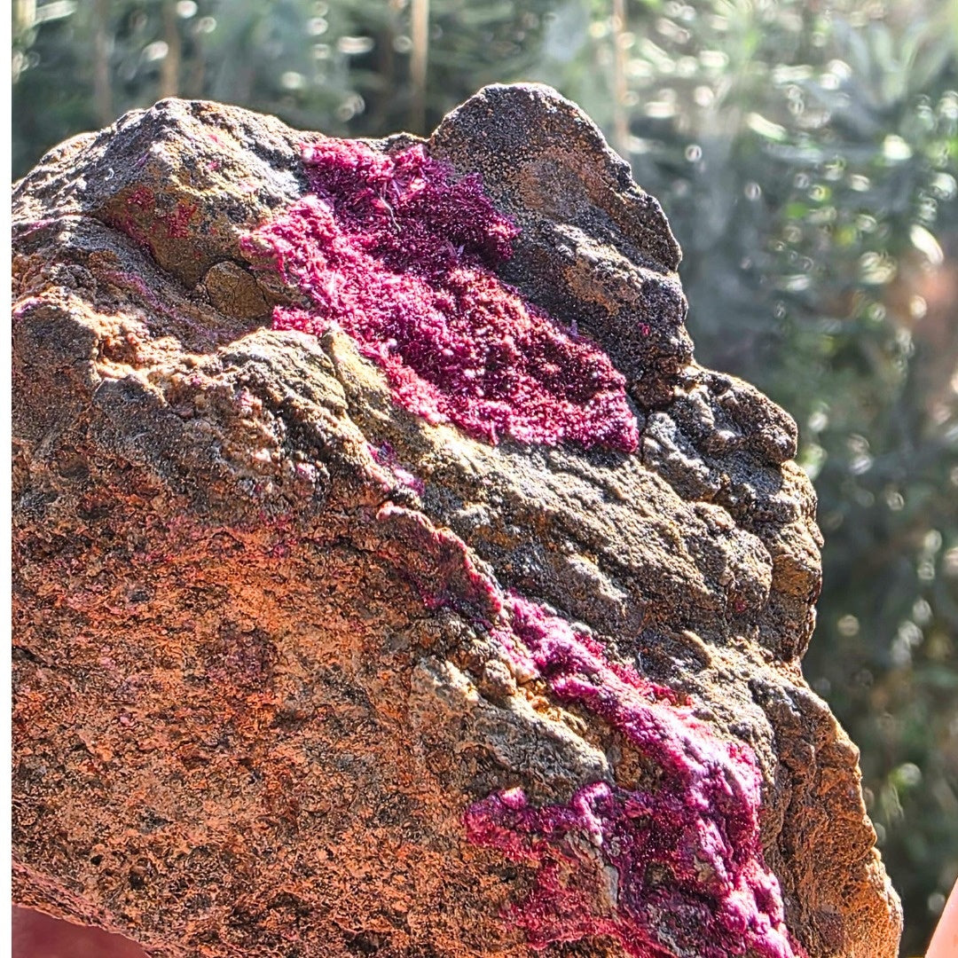 Rare Pink Erythrite Cluster