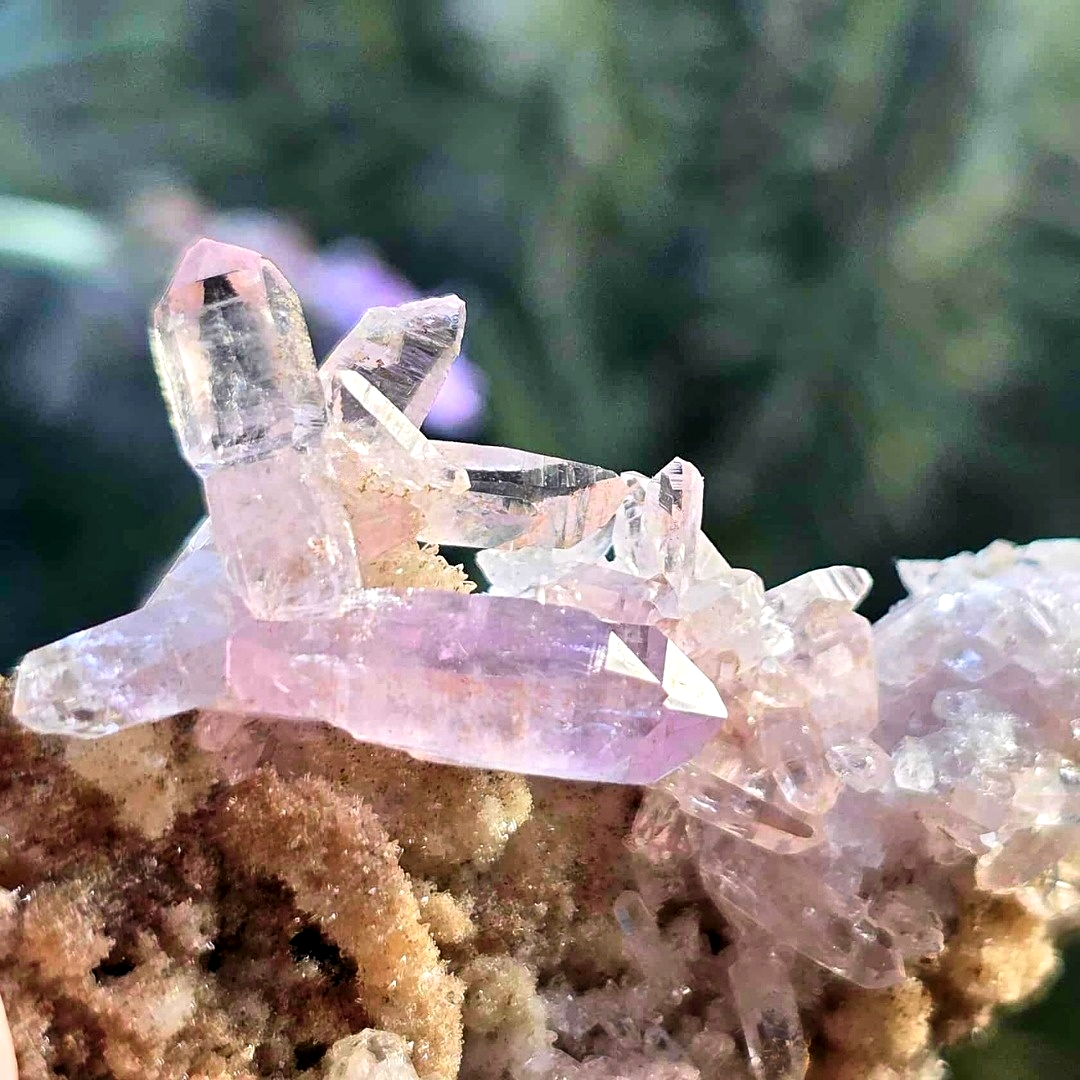 Rare Medium Vera Cruz Amethyst Cluster - 7cm