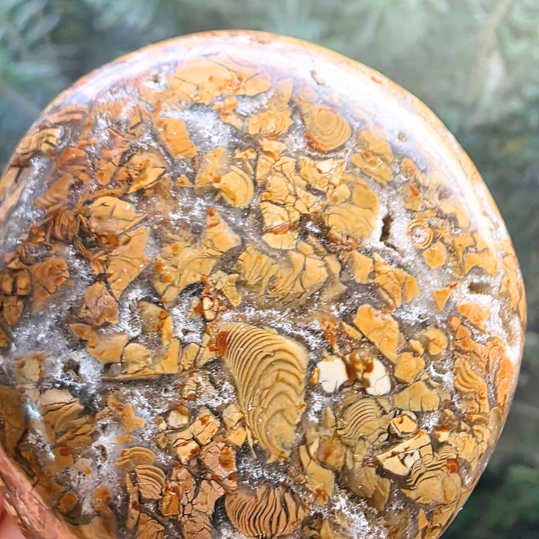 Brecciated Jasper & Quartz Palm Stone