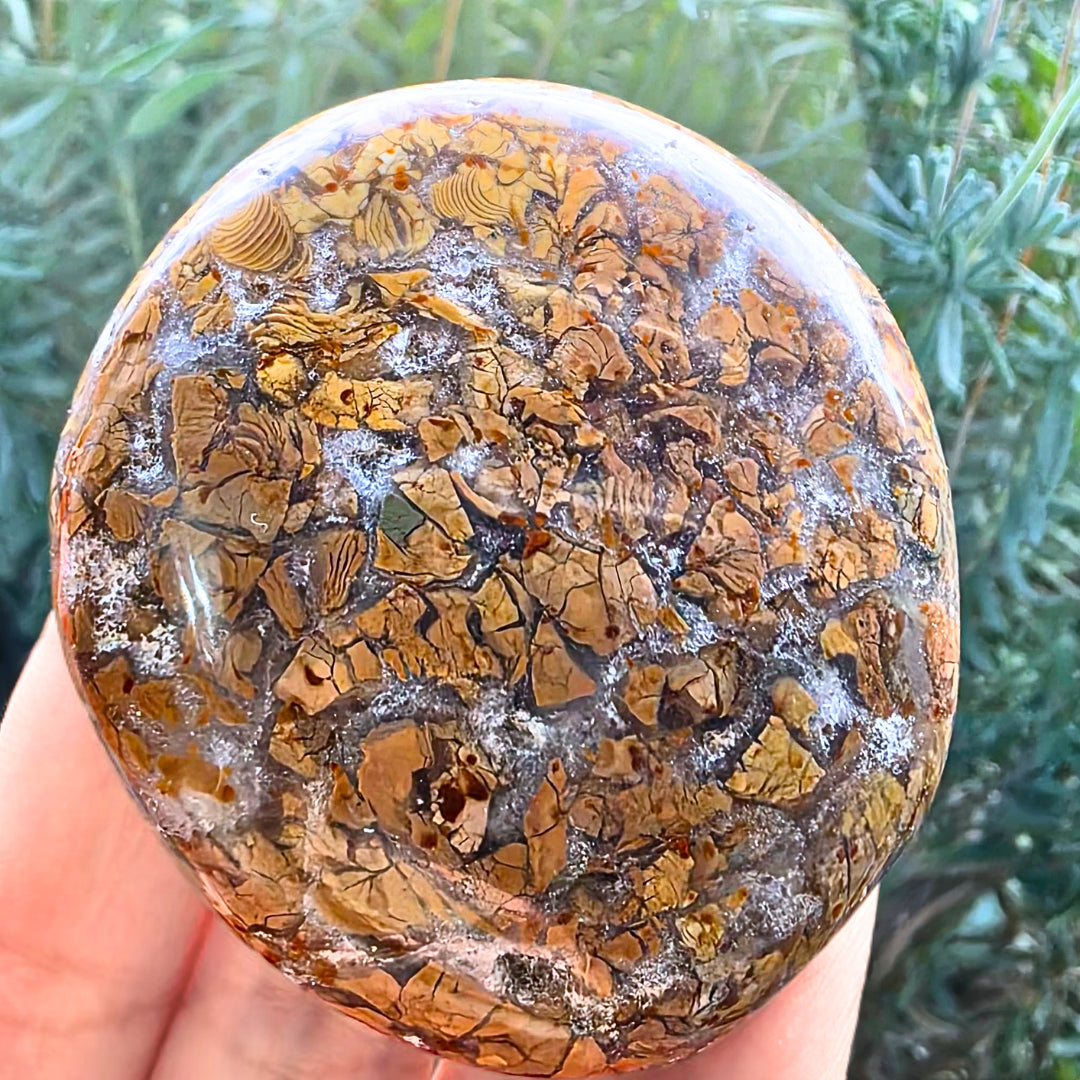Brecciated Jasper & Quartz Palm Stone