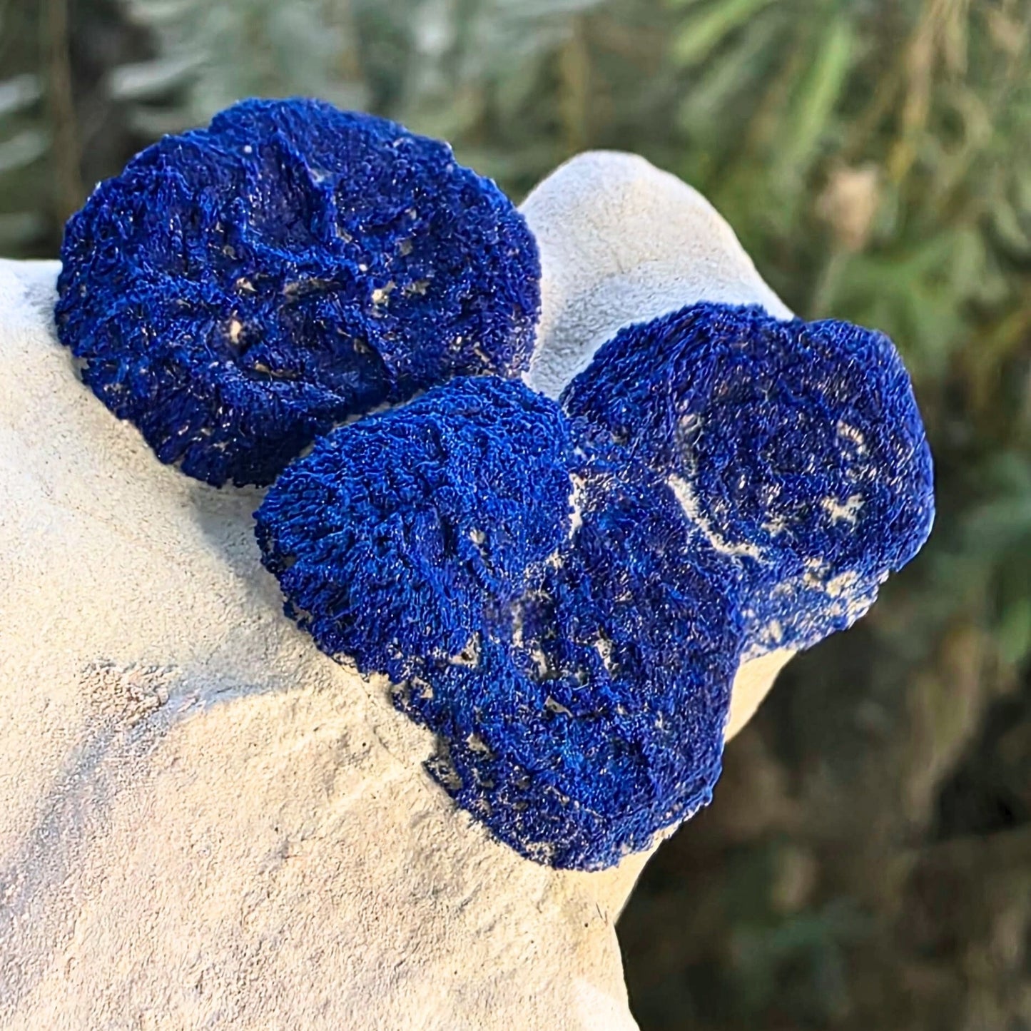Limited Piece Druzy Azurite Sun Cluster Specimen - Malbunka Copper Mine, NT