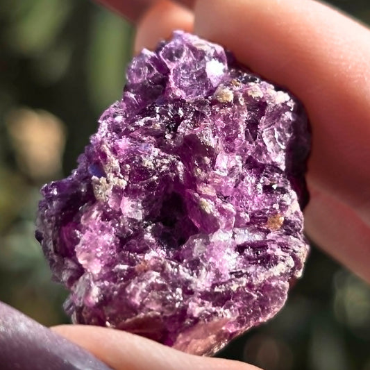 Pink Lepidolite (Mica) Cluster - Brazil