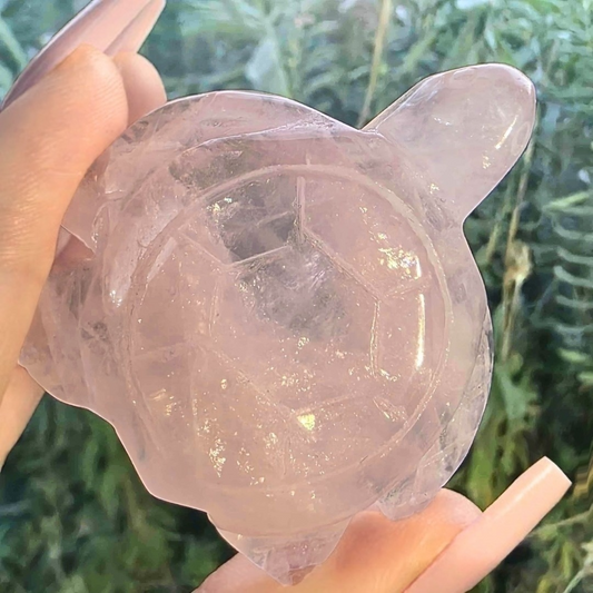 Rose Quartz Turtle with Rainbows