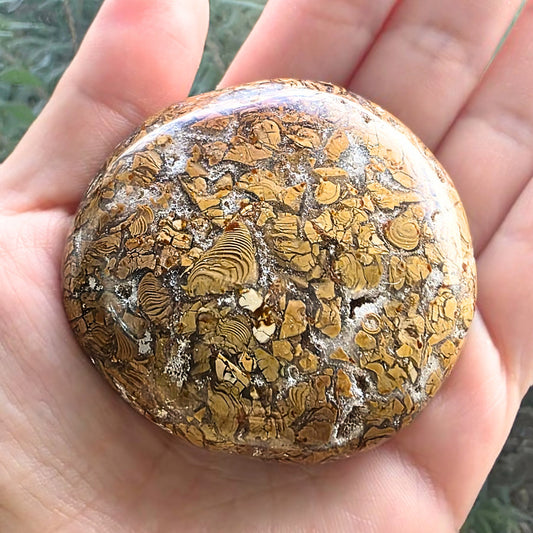 Brecciated Jasper & Quartz Palm Stone