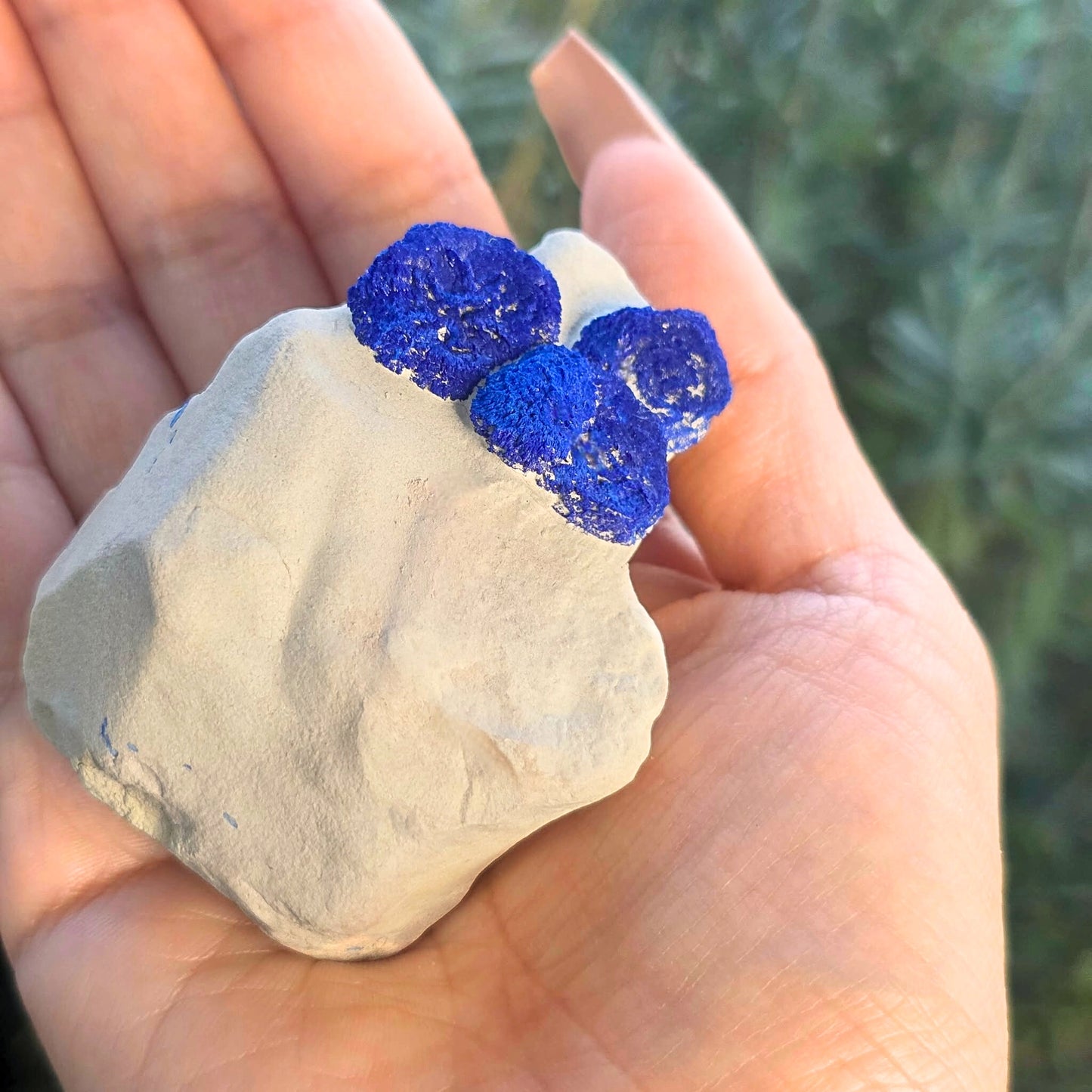 Limited Piece Druzy Azurite Sun Cluster Specimen - Malbunka Copper Mine, NT