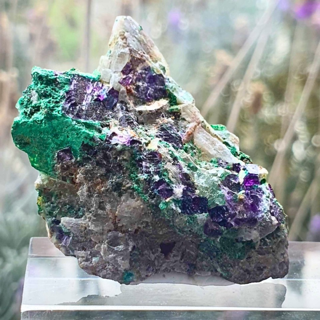 Rare Purple Cubic Fluorite on Malachite & Mica Specimen 1