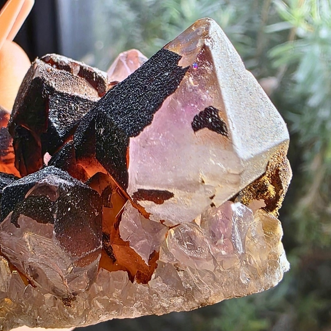 Hematite Capped Amethyst Cluster