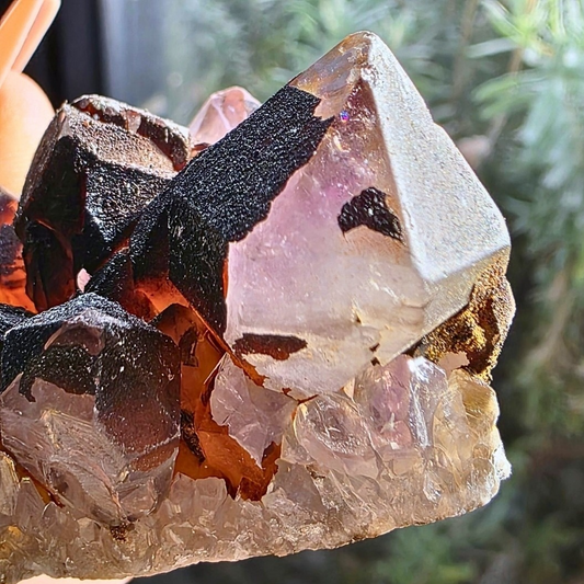 Hematite Capped Amethyst Cluster