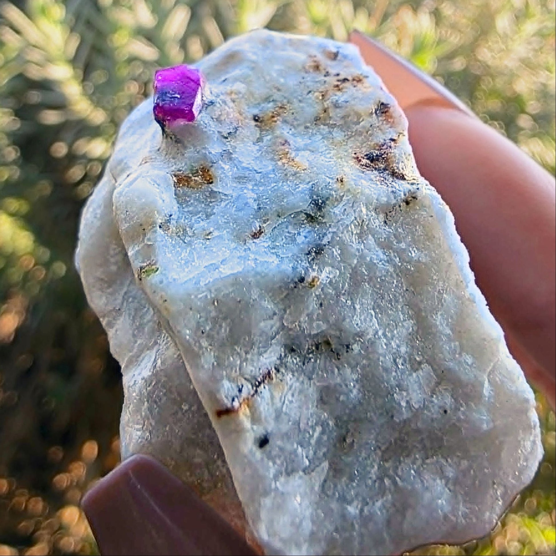 Raw ruby in marble specimen held in hand, showing a bright magenta ruby crystal and small golden pyrite flecks on a white matrix.